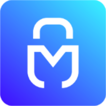 Metiri Icon metiri lock favicon